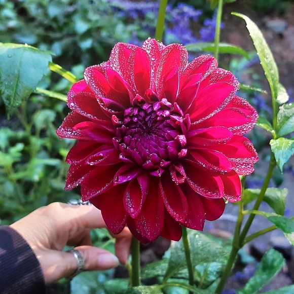 Heather's Loft - Picture 9 of 15